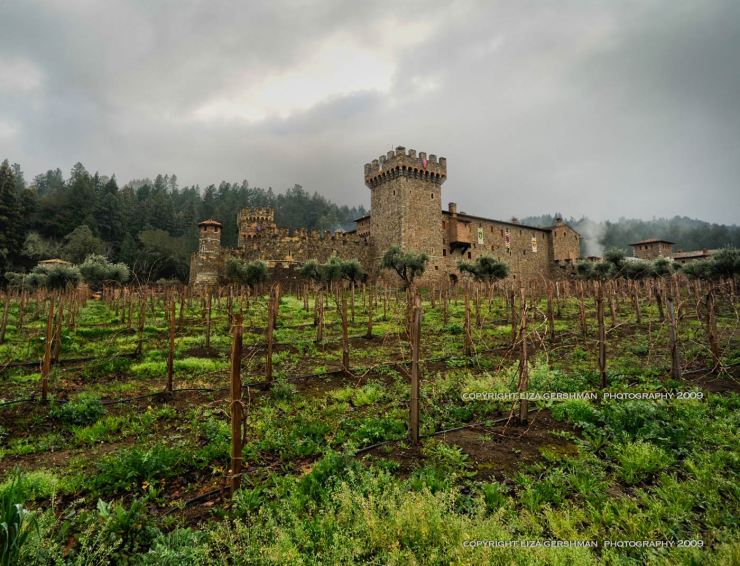 A view of the castle from the vineyard. Photo courtesy of Liza Gershman Photography.