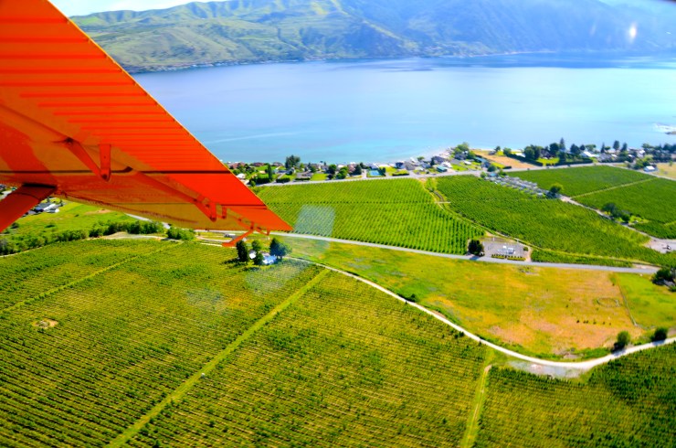 A bird's-eye-view of Lake Chelan and area vineyards.