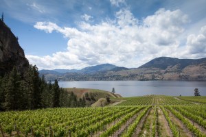 Photo credit: Wines of British Columbia